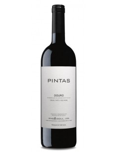 PINTAS TINTO 2022