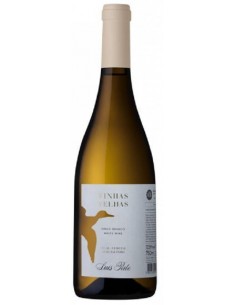 LUIS PATO V. VELHAS BRANCO...