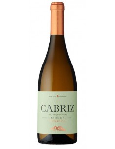 DÃO CABRIZ RESERVA BRANCO 2025