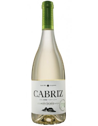 DÃO CABRIZ BRANCO