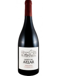 QUINTA AVELAR VINHAS VELHAS...