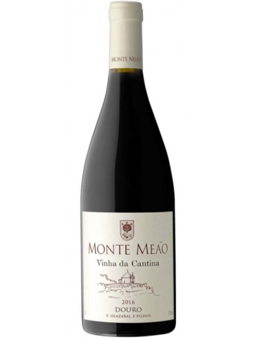 MONTE MEAO V. DA CANTINA TINTO 2022