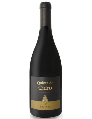 QTA. CIDRO PINOT NOIR TINTO 2024