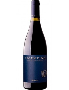 VICENTINO PINOT NOIR TINTO...