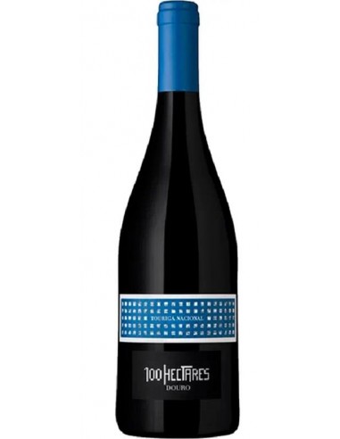 100 HECTARES TOURIGA NACIONAL TINTO 2023