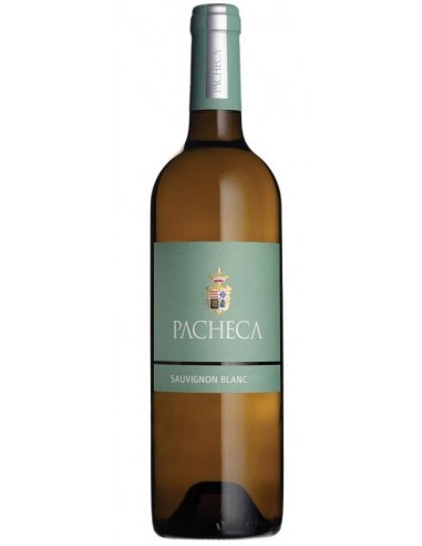 PACHECA SAUVIGNON BLANC 2024