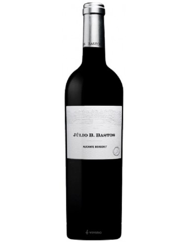 JÚLIO BASTOS ALICANTE BOUSCHET