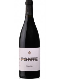 PONTE MOUCHÃO TINTO 2022