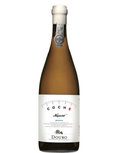 COCHE Bº 2023