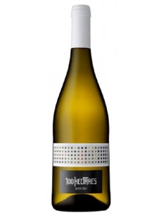 100 HECTARES BRANCO 2024