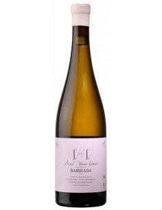QTA. DE BAIXO V. VELHAS BRANCO