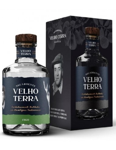 AG. FIGO VELHO TERRA