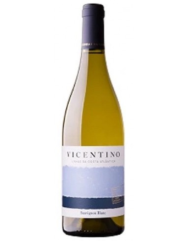 VICENTINO SAUV. BLANC 2020