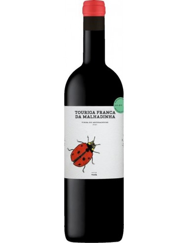 MALHADINHA T. NACIONAL Tº 2022
