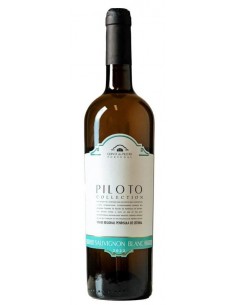 QTA. PILOTO SAUV. BLANC 2022