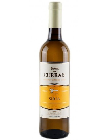 QTA. CURRAIS SIRIA