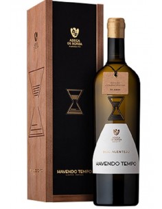 HAVENDO TEMPO Bº 2023