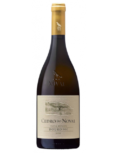 CEDRO NOVAL BRANCO 2023