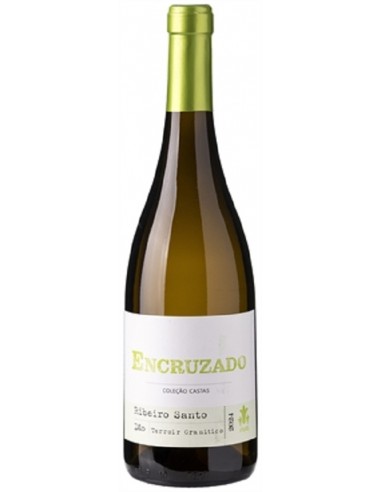 SERIES ENCRUZADO Bº 2024
