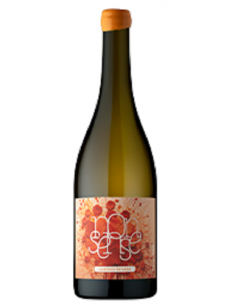 NONSENSES ARINTO Bº