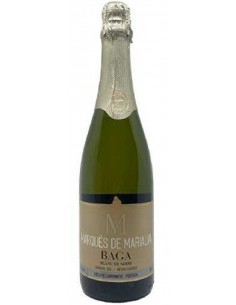 ESP. M. MARIALVA B. NOIR...