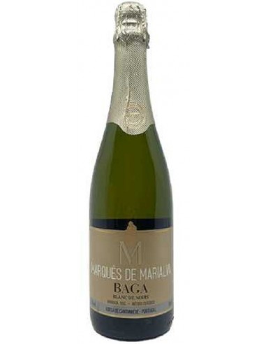 ESP. M. MARIALVA B. NOIR BAGA BR.