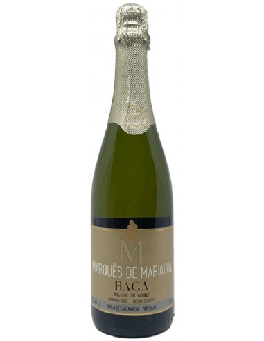ESP. M. MARIALVA B. NOIR BAGA BR.
