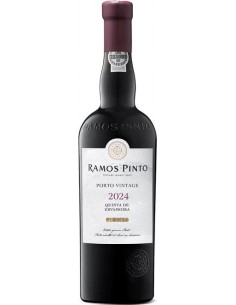 R. PINTO VINT. 2024 ERVAMOIRA