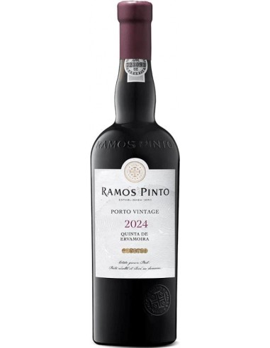 R. PINTO VINT. 2024 ERVAMOIRA